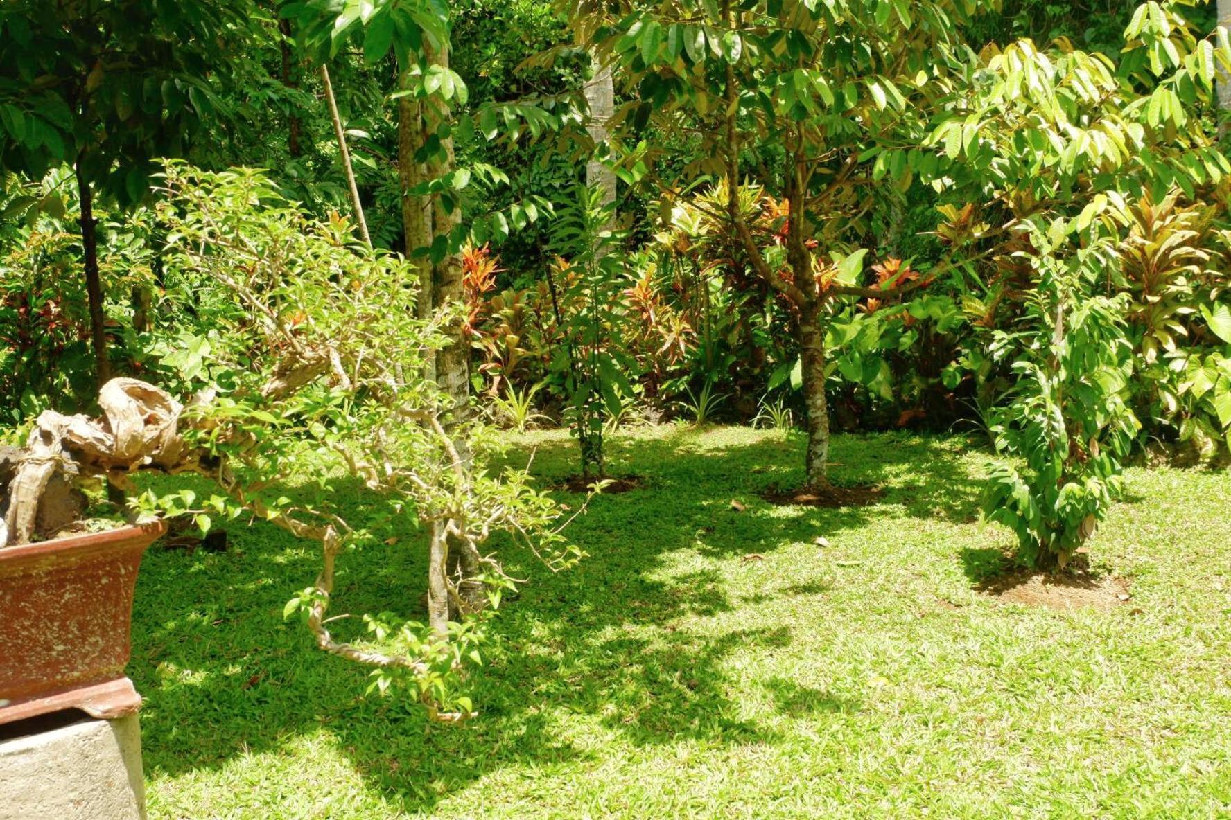 Artja Inn Ubud Luaran gambar